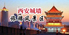 流白桨视频中国陕西-西安城墙旅游风景区