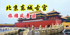 美女被槽啊啊啊喷水中国北京-东城古宫旅游风景区